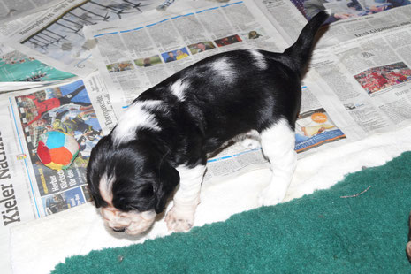 The early stages of potty training, Photo: Ulf F. Baumann