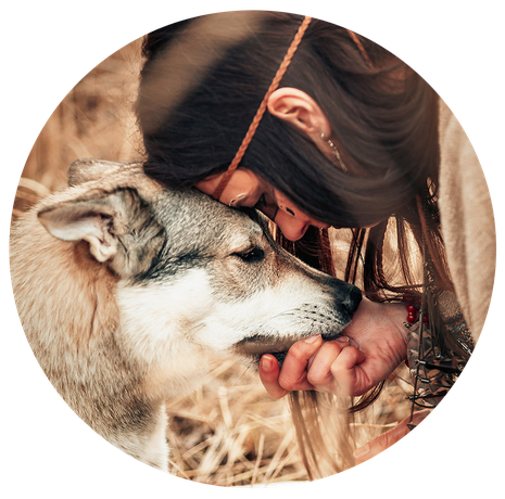 Indianerin mit geflochtenem Stirnband legt sanft ihre Stirn an einen Wolfshund. Ihre Hand berührt sein Gesicht, während beide die Augen schließen - ein Moment tiefer Verbundenheit der Natur.