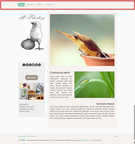 St. Petersburg template navigation