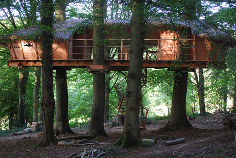 Grande cabane double, à 4 m de hauteur, sur trois hêtres centenaires, sécurisée par des filets, accès par un escalier en colimaçon, terrasse de 30 m², semi-couverte et traversante, Normandie, La Chaussée.