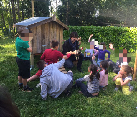 Arrivée des poules dans une maison d'enfants (MECS) 