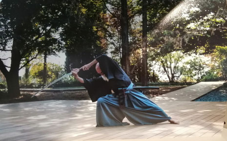 Guru o Sensei Maharishi Sathyananda in una posizione di ai jutsu