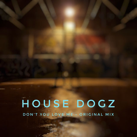 House Dogz