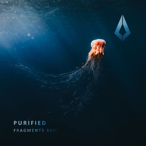 Purified Fragments