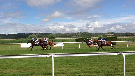 Course disputée sur le champ de course de l'hippodrome du Touquet-Paris-Plage