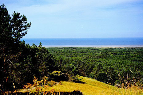 Le mont St Frieux, un mont de craie recouvert de dunes, côte d'Opale, Pas de Calais