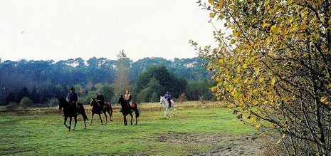 Randonnée équestre sur la plaine du Noeud Vincent, autrefois hippodrome et terrain de polo