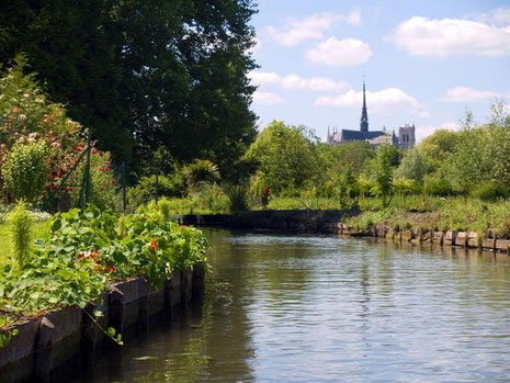 La cathédrale d'Amiens depuis les Hortillonages© CDT Somme - AB