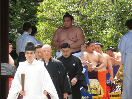 The Yokozuna Terunofuji leads a troop of top ranked wrestlers into the shrine for prayers.