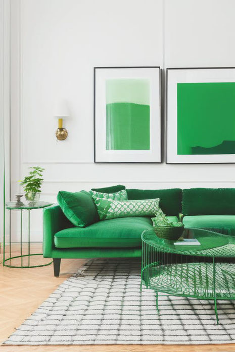 Entdecken Sie, wie Grün als Farbe für Balance, Frische und Entspannung sorgt und Ihre Einrichtung stilvoll sowie natürlich ergänzt. Tipps und Trends inklusive.