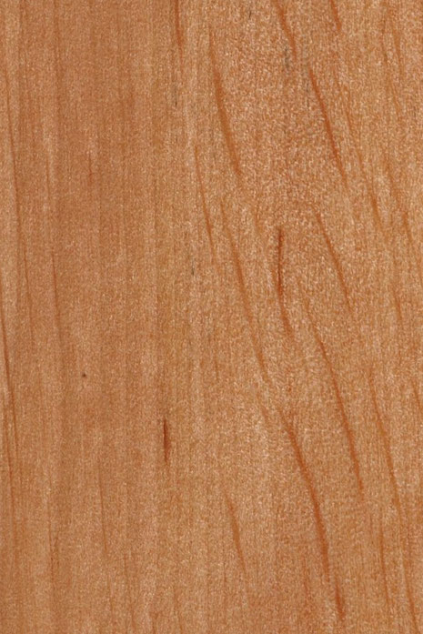 Das Lexikon erklärt die Holzart Erle mit Herkunft, Eigenschaften und Vorteilen. Ideale Wahl für Möbelbau, Innenausbau und nachhaltige Projekte.