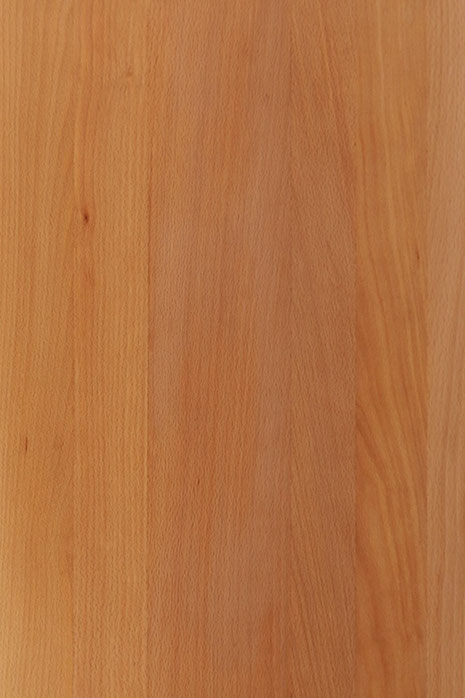 Buche ist ein echtes Multitalent im Holzbereich. Sie punktet durch ihre Robustheit, vielseitige Verarbeitbarkeit und zeitlose Optik.