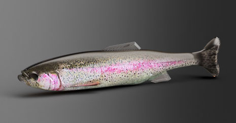 OOO（オーズ）Transforming Swimbait - バス釣りルアーVESTRANGE