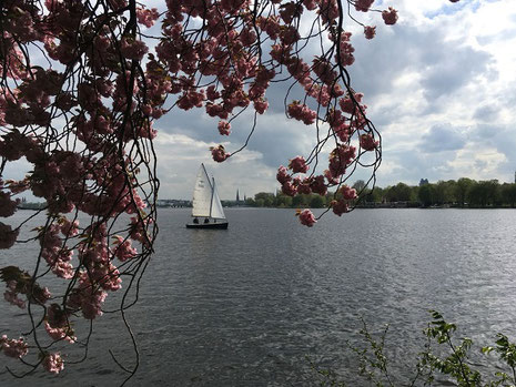 Escort an der Alster