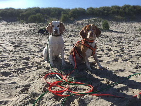 Foto: Bettina Bumb,  Coroner & Harper in Zeeland am Strand - Niederlande