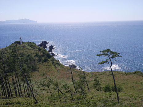 スキンケア素材を探す旅-隠岐の島編-