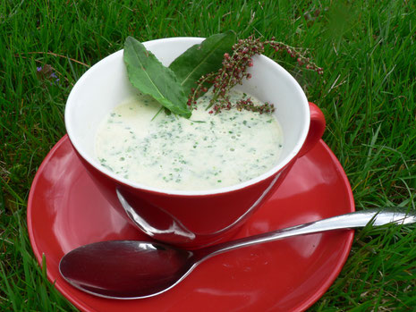 Kräutersuppen - sahnig, sämig oder klar-kräuterig