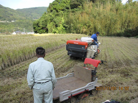 息子Tさんの作業を見守るY師匠。