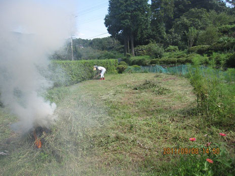 刈って１日置いた草は、乾燥していて燃えやすい。