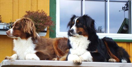 Ylva(l) Anouk (r)