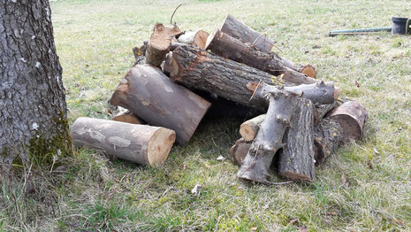 Totholzhaufen auf unserer Streuobstwiese (Foto D. Mohr)