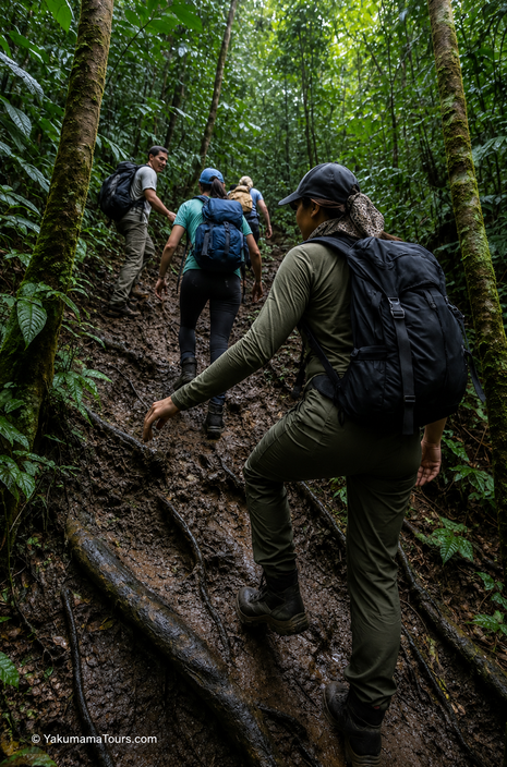 Grupo de viajeros recorriendo un sendero lodoso durante una caminata guiada por la selva amazónica de Iquitos, Perú