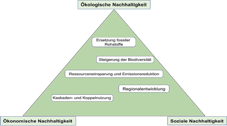 Das "Dreieck der Bioökonomie". (Quelle: Universität Greifswald) 