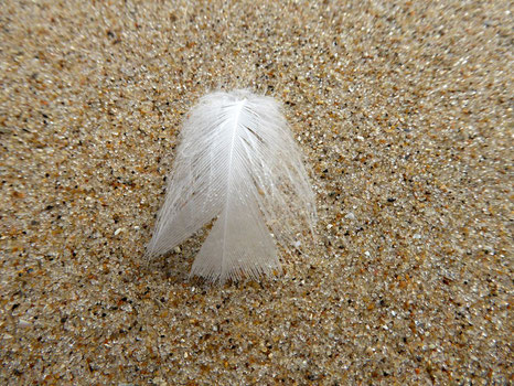 Weiße Feder am Strand, die wie ein Engel mit Flügeln aussieht