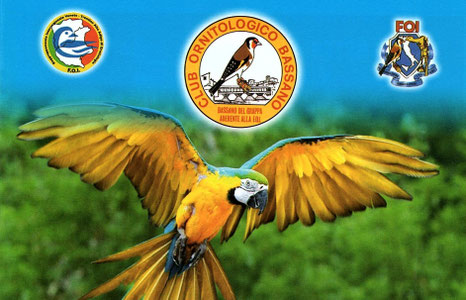 Benvenuti  cob-clubornitologicobassano!