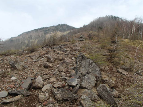 八ヶ岳　三ツ頭　古道　登山　ガイド