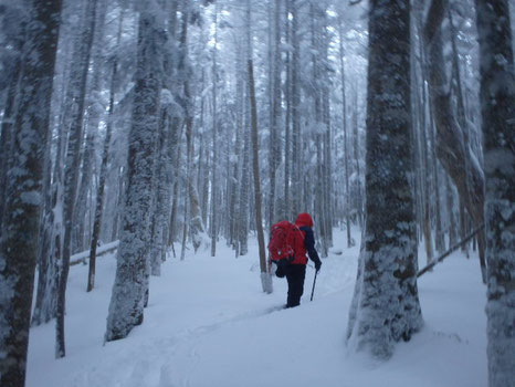 雪山登山　入門者