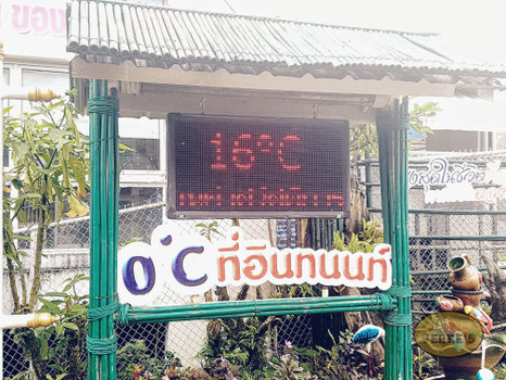 Temperaturen im Doi Inthanon National Park