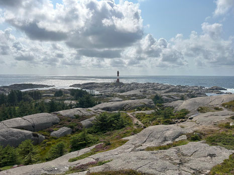 mentale Gesundheit in Tirol