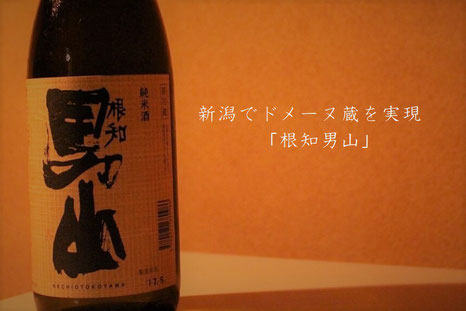 根知男山 渡辺酒造店 Nechiotokoyama 新潟亀田 わたご酒店