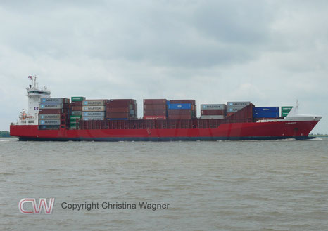 Containerschiff ELBSUMMER, IMO 9386718, Elbdeich Reederei