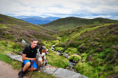 road trip ecosse, roadtrip scotland, highlands, chien, vacances, voyager avec son chien