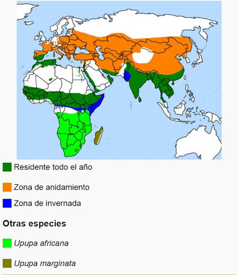 Imagen 1. Distribución de las abubillas por el mundo.