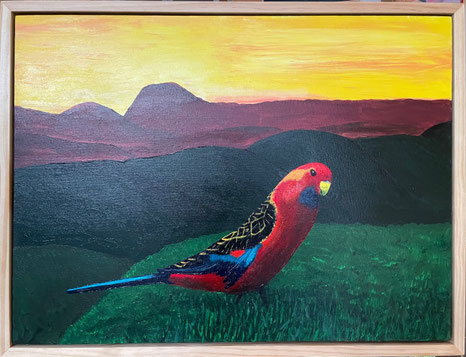 "Proud Crimson Rosella" 65cm x 50cm Acrylic on Canvas, pinewood frame $350 (excluding freight)