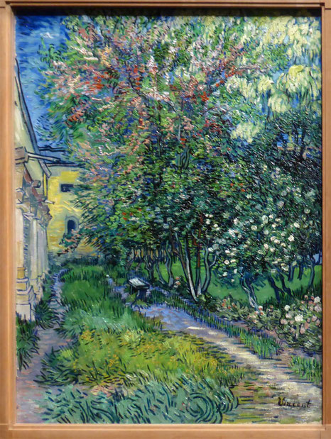The Garden of the Asylum at Saint Remy