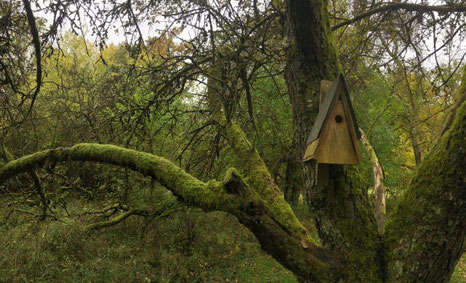NABU Bauland Süd Spende für die Natur