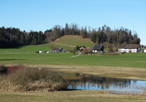 (Bild: buebikernews)