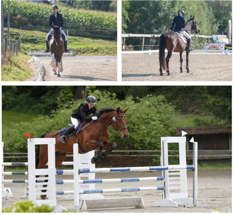 Feriencamps, Ferienwochen, Pferd-Erlebniswochen, Voltigierwochen, Pfrüfungsvorbereitungswochen, Sommerferien, Osterferien, Herbstferien Graz/Deutschlandsberg/Steiermark