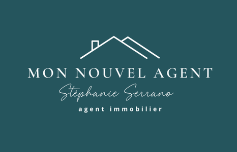 Mon nouvel agent