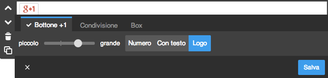 Google+ box