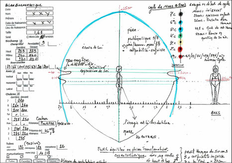 géobiologie, développement du ressenti et bilan bioénergétique avec martine dedieu - Touraine
