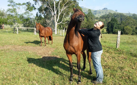 Harmonie, Weiterentwicklung & Vertrauen im Natural Horsemanship