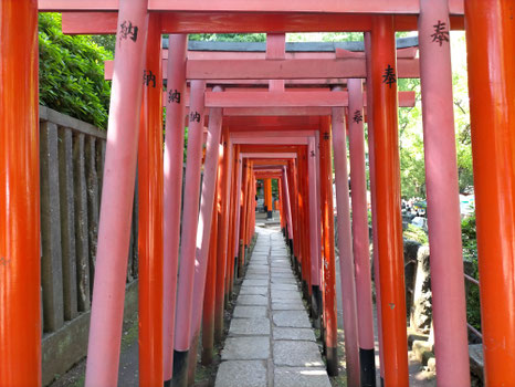 Torii gates at Nezu Shrine