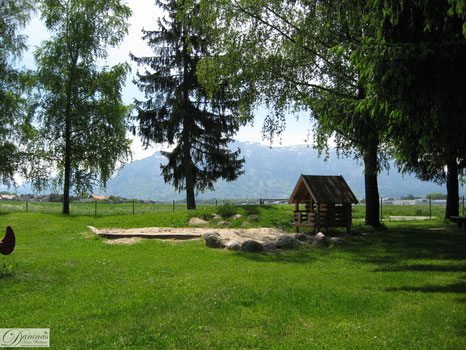 Park mit Bäumen & Spielplatz - Natur für mehr Gesundheit und Wohlbefinden - Foto by Danina's Kunst Werkstatt