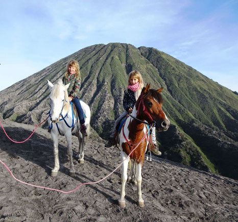 Paardrijden bij de Bromo vulkaan op oost Java in Indonesie