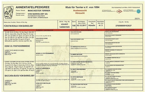 Ahnentafel: Fürstin Ronja von Barkelsby